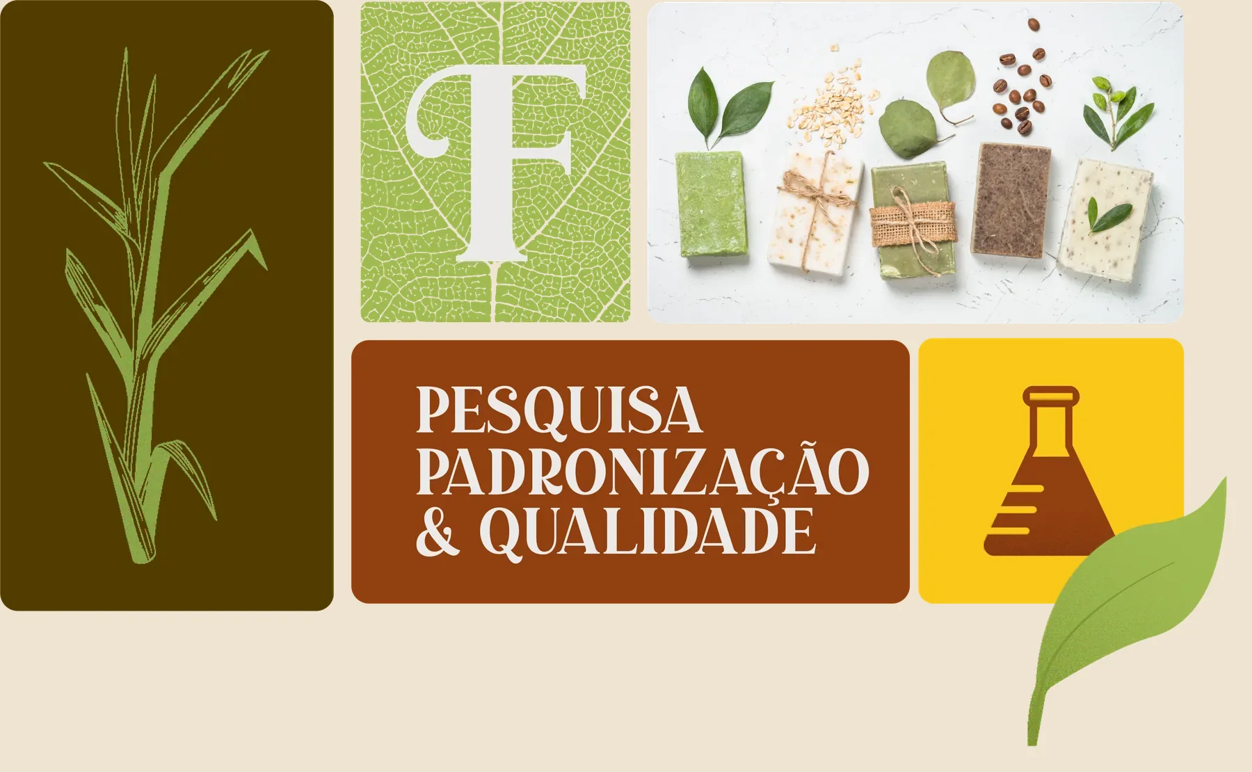 Sistema visual da Florim: capim-limão, letra F sobre folha, embalagens artesanais e o selo pesquisa, padronização e qualidade