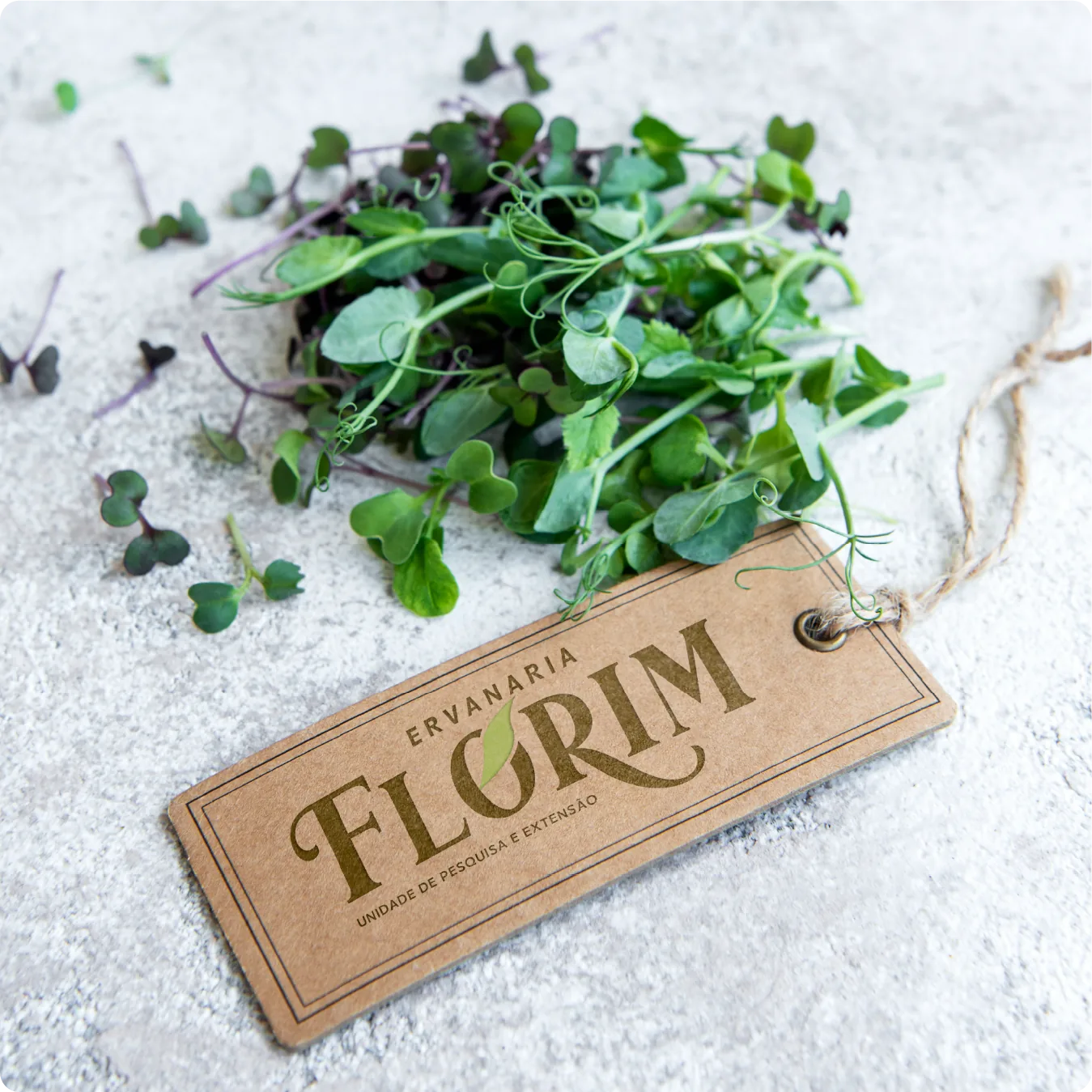 Etiqueta de papel kraft com a marca Florim sobre brotos verdes